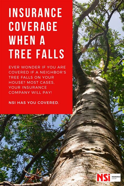 tree fall insurance
